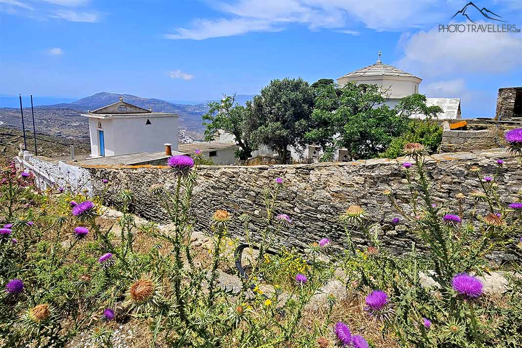 Vor der Mauer des alten Klosters Panagia Katapoliani blühen bunte Blumen auf einem Feld