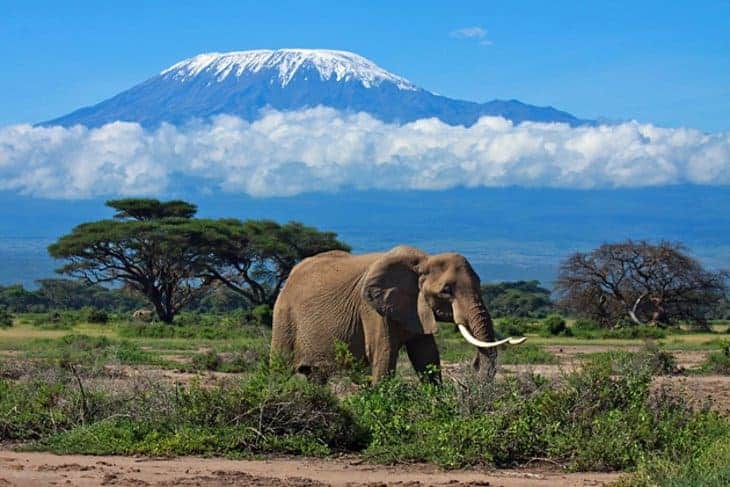 Tanzania Travel Insurance Tanzania Travel Insurance