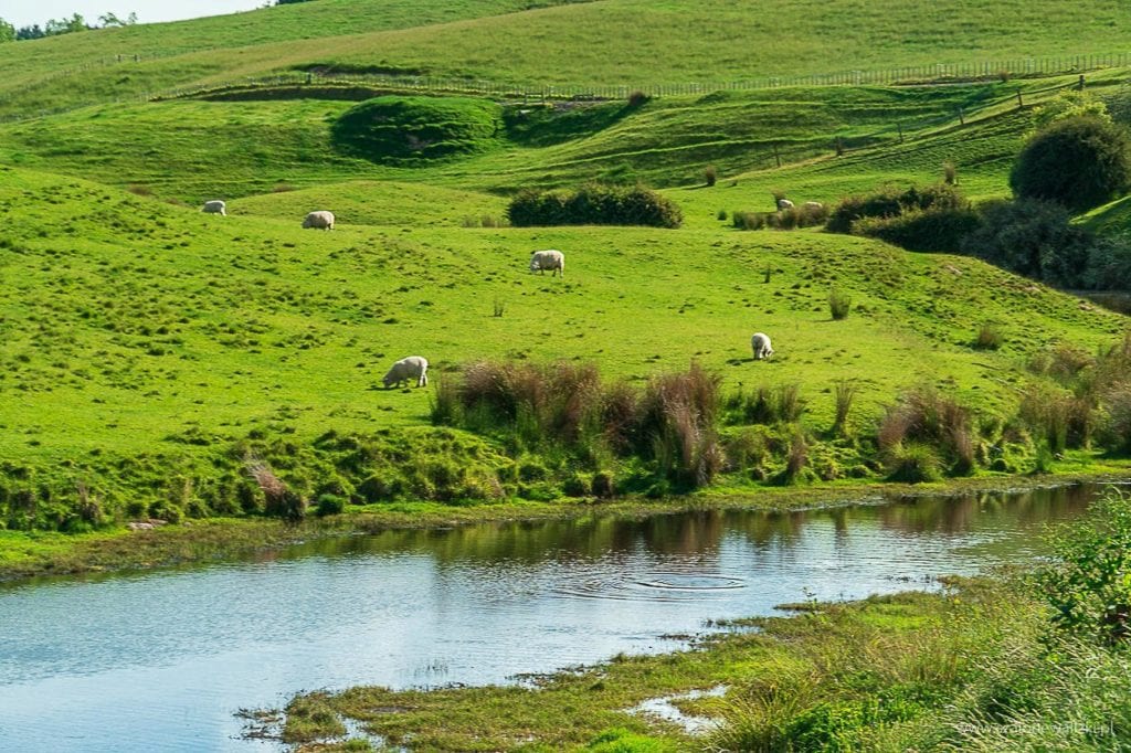 Hobbiton w Nowej Zelandii