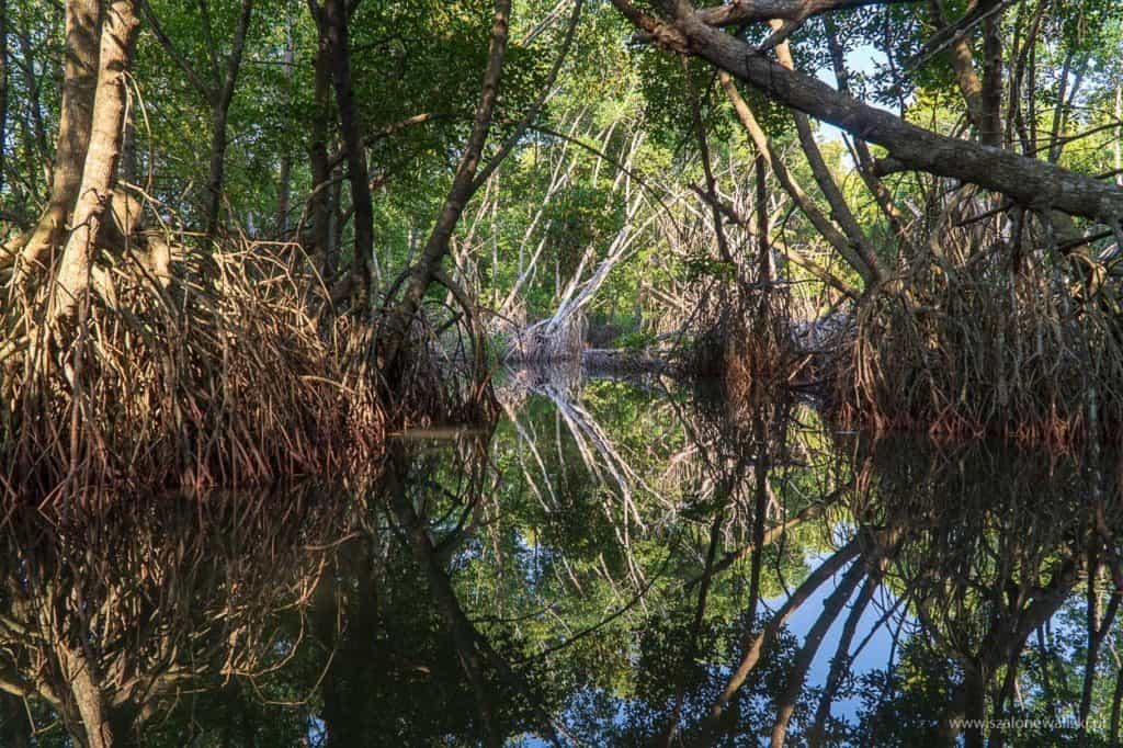 polskie noclegi na sri lance