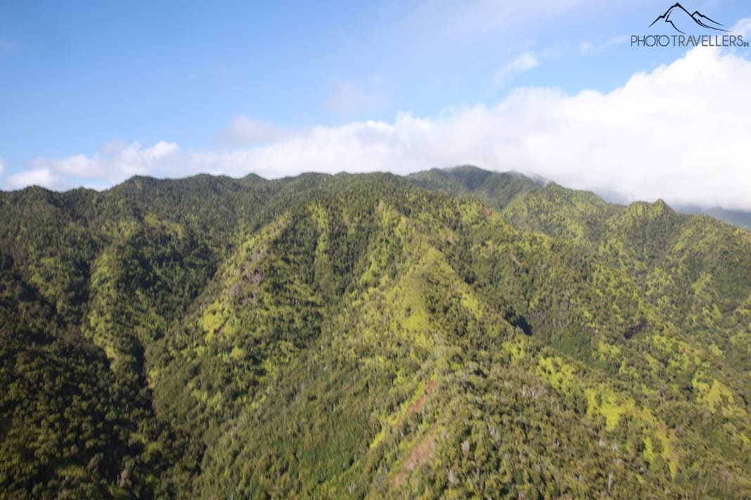 Ein verwackeltes Foto, das die grünen Berge auf Hawaii aus der Luft zeigt