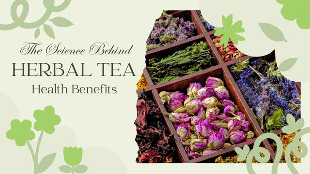 THE SCIENCE BEHIND THE HEALTH BENEFITS OF HERBAL TEA 4 specific compounds and their potential benefits