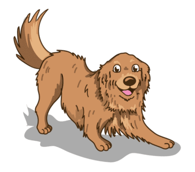 Puppy socialization serving Minneapolis, South Minneapolis, Southern and Southwestern Suburbs, MN