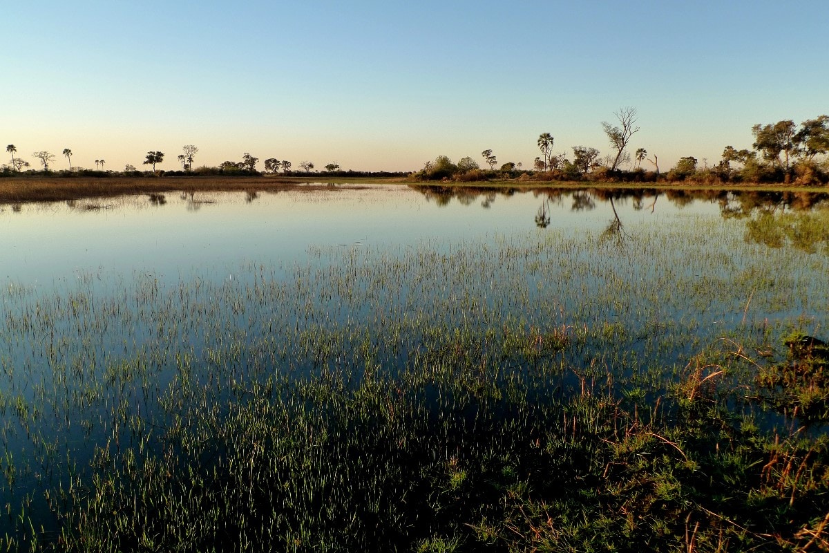 african safari aesthetic