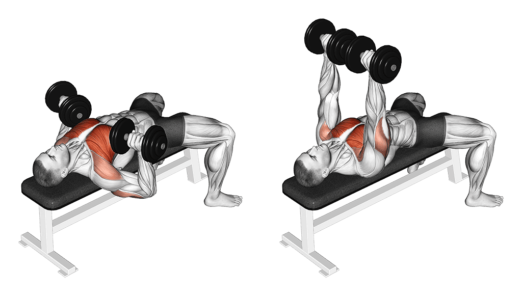 Flat Dumbbell Bench Press