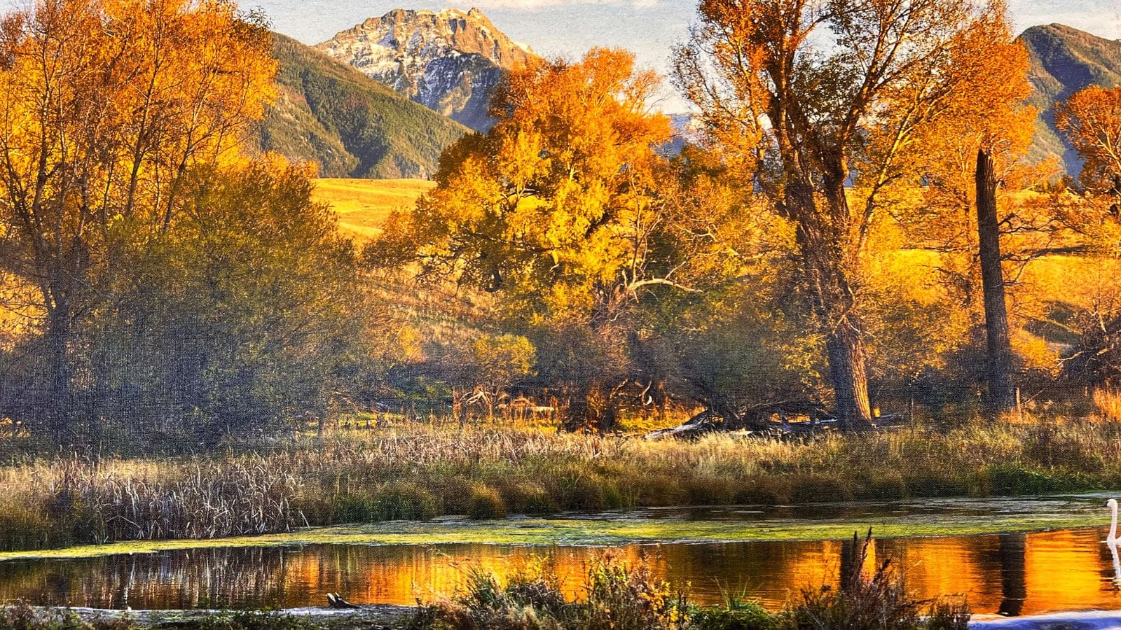 Top U.S. Locations to Survive and Thrive If Nuclear War Erupts