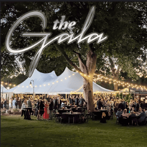 2025 Annual Gala Event Image Elegant outdoor gala event under large trees with string lights at The History Museum.