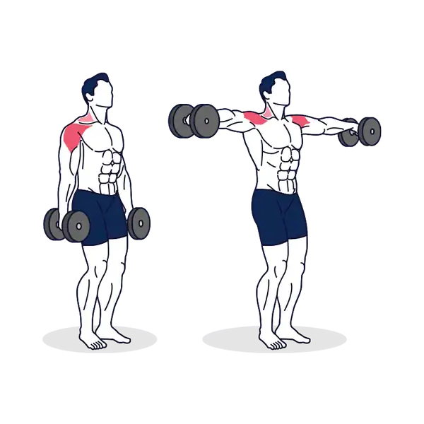 Dumbbell Lateral Raise