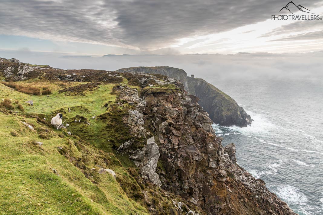 Bearbeitetes Testbild der Canon EOS R von einem Küstenstreifen in Irland