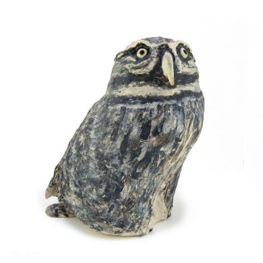 C3516 Little Owl – Jos Holloway