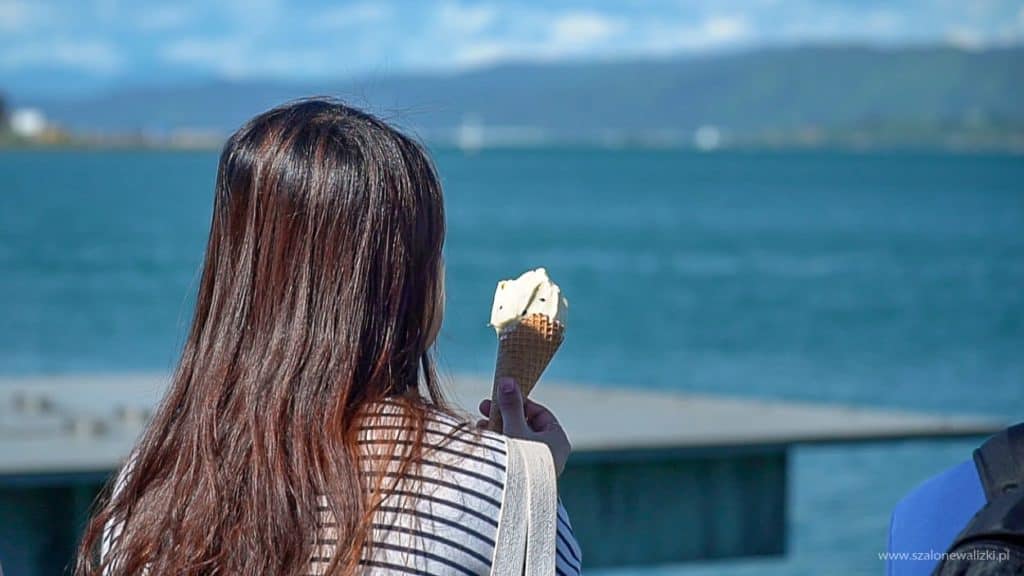 wellington filmowy przewodnik