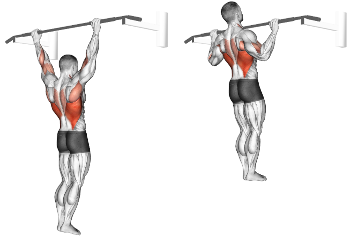 Best Lat Exercises