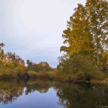 the-fall-landscape
