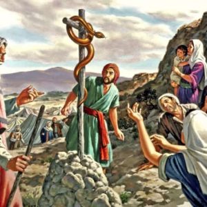 Who are you going to trust? God or W.H.O. "Sorcery" ORGANIZATION?