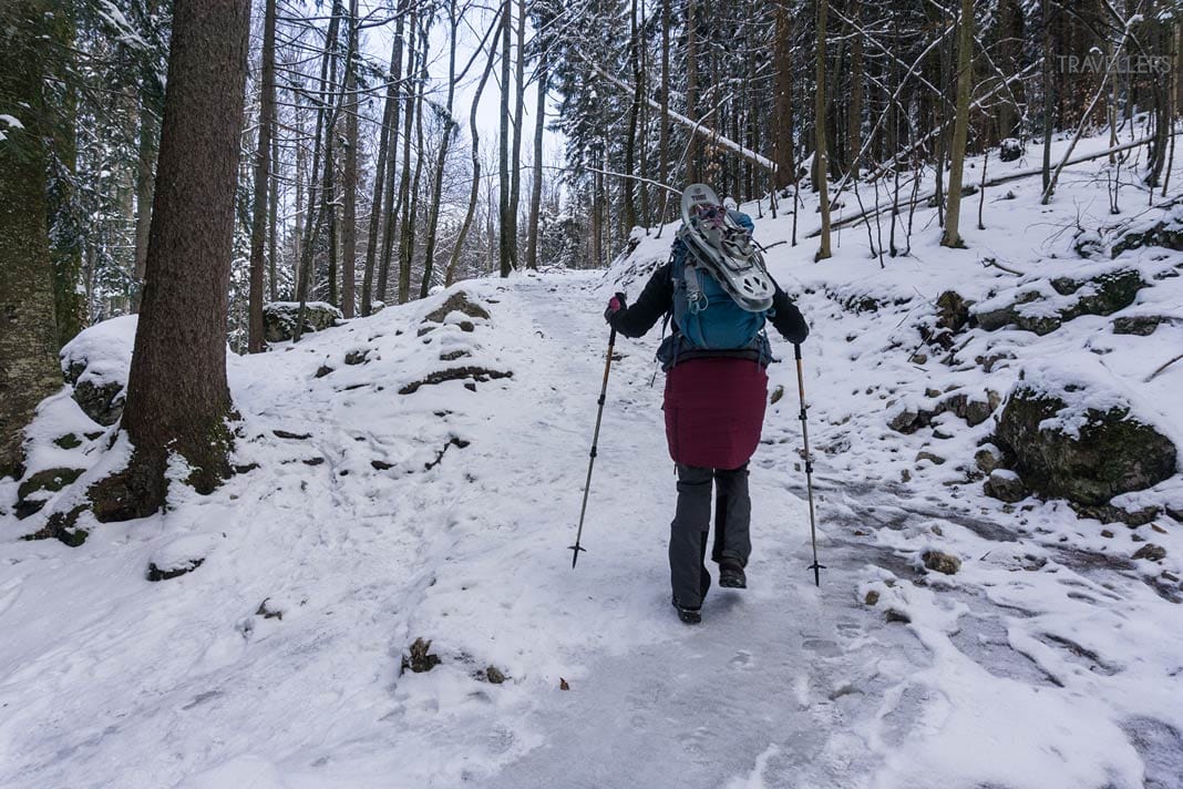 Reisebloggerin Biggi Bauer wandert durch einen verschneiten Bergwald und trägt Schneeschuhe auf dem Rücken