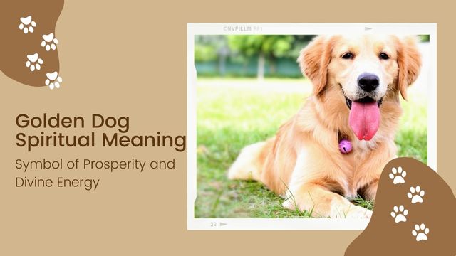 golden dogs play in chakra healing