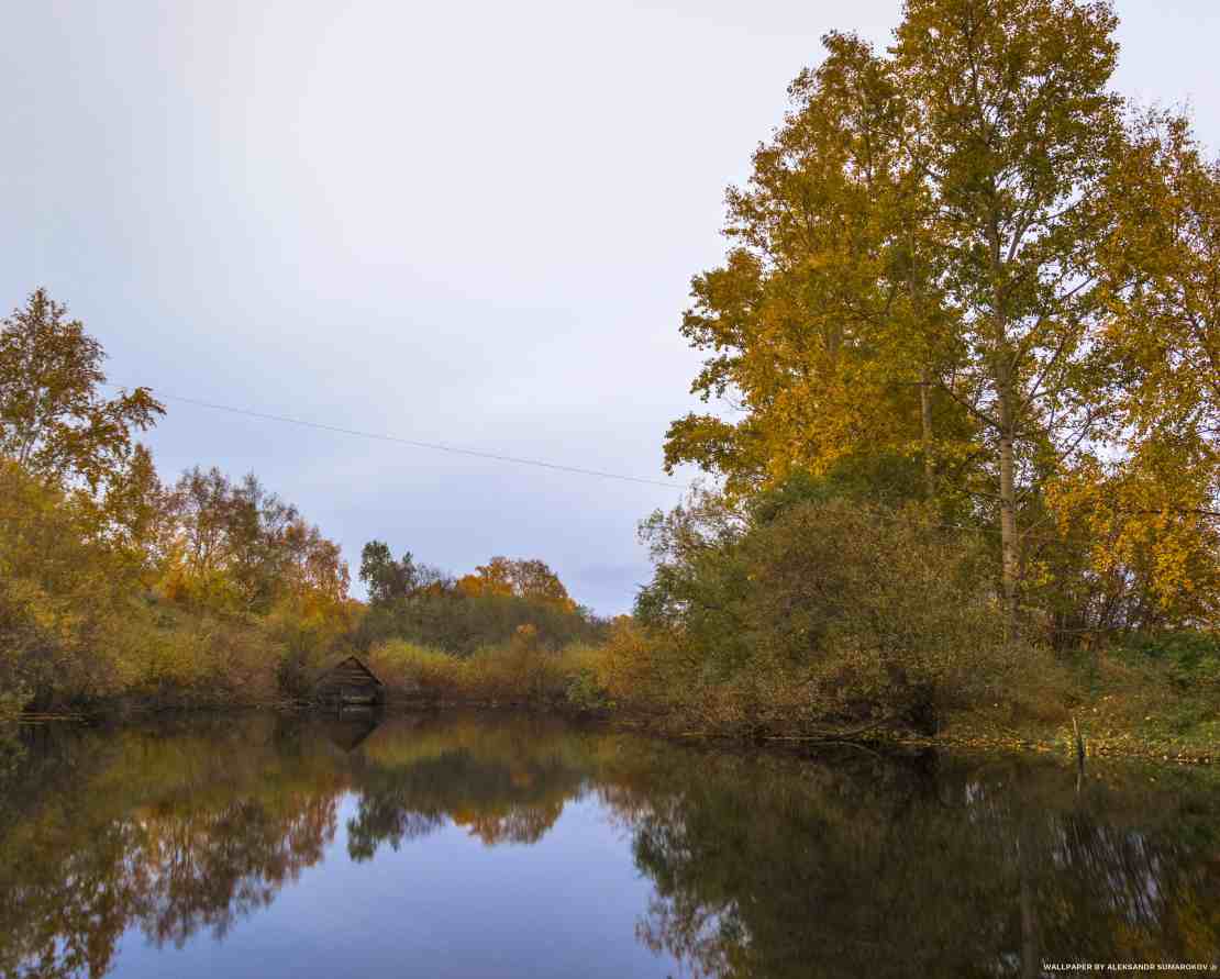 The fall landscape.