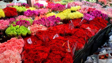 Marché aux fleurs 2019
