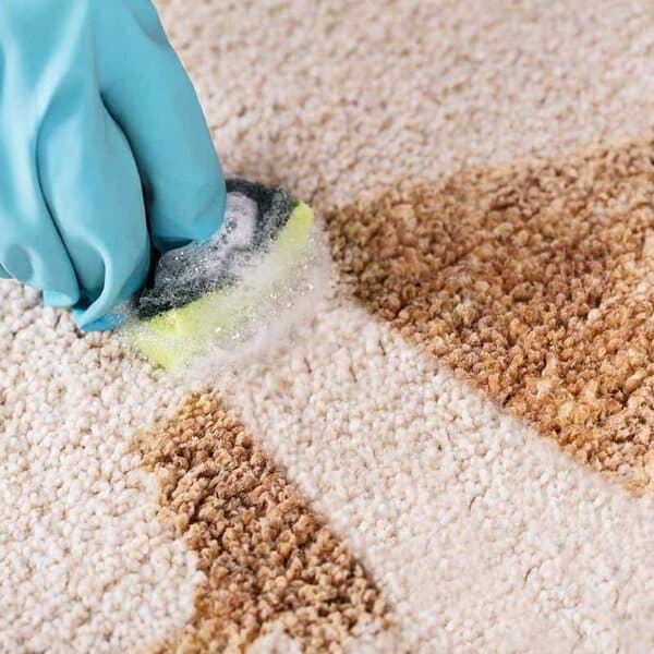 How to Remove the Toughest Carpet Stains | Old World Restoration and ...