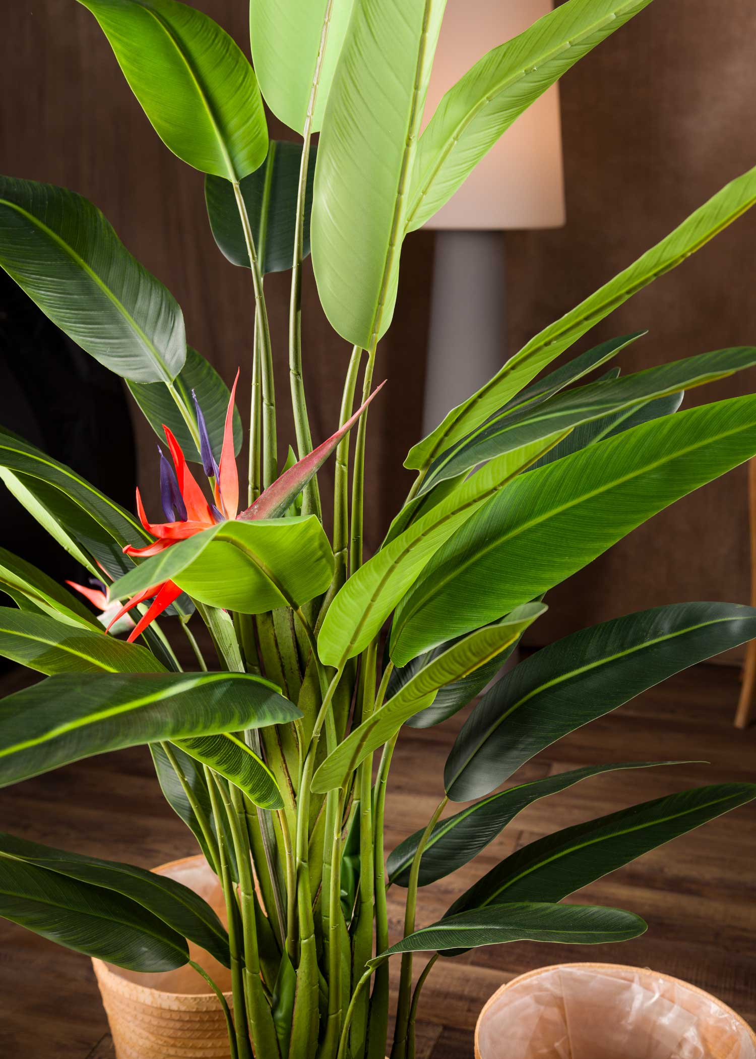 pianta-sterlizia-artificiale-media-chioma