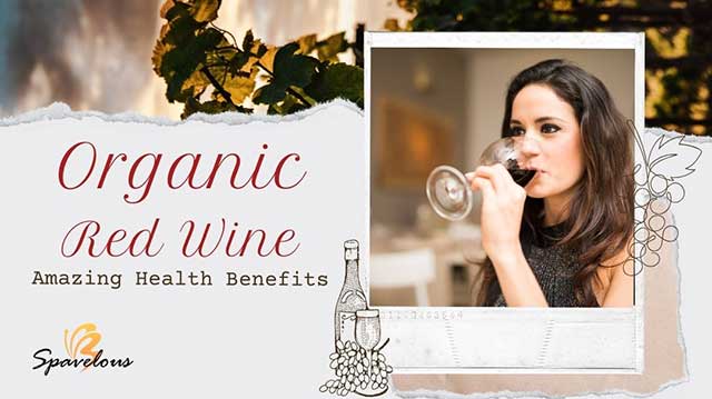 ORGANIC RED WINE: AMAZING BENEFITS OF ORGANIC WINE 19 organic red wine health advantages