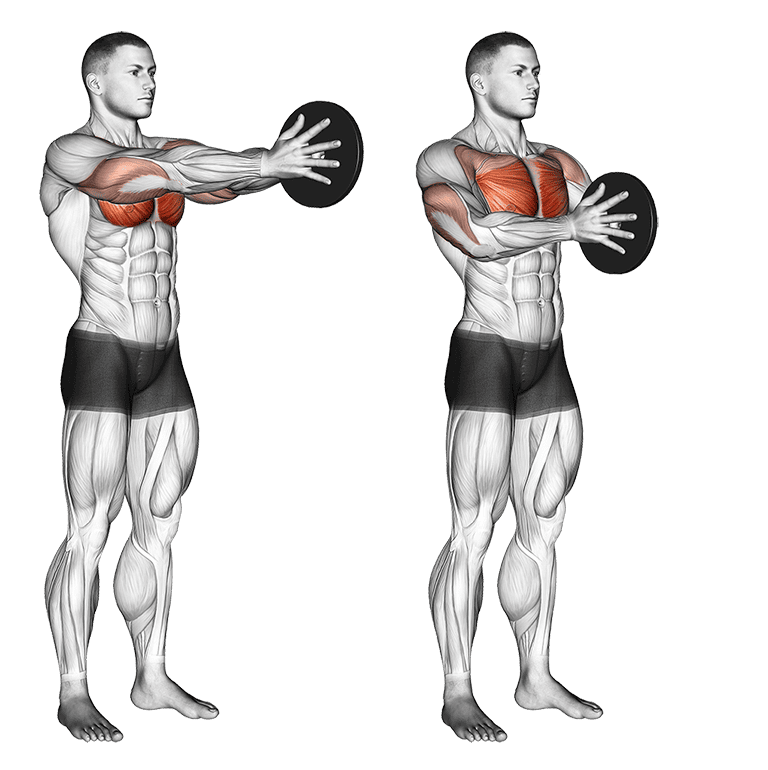 Best Chest Exercises for men