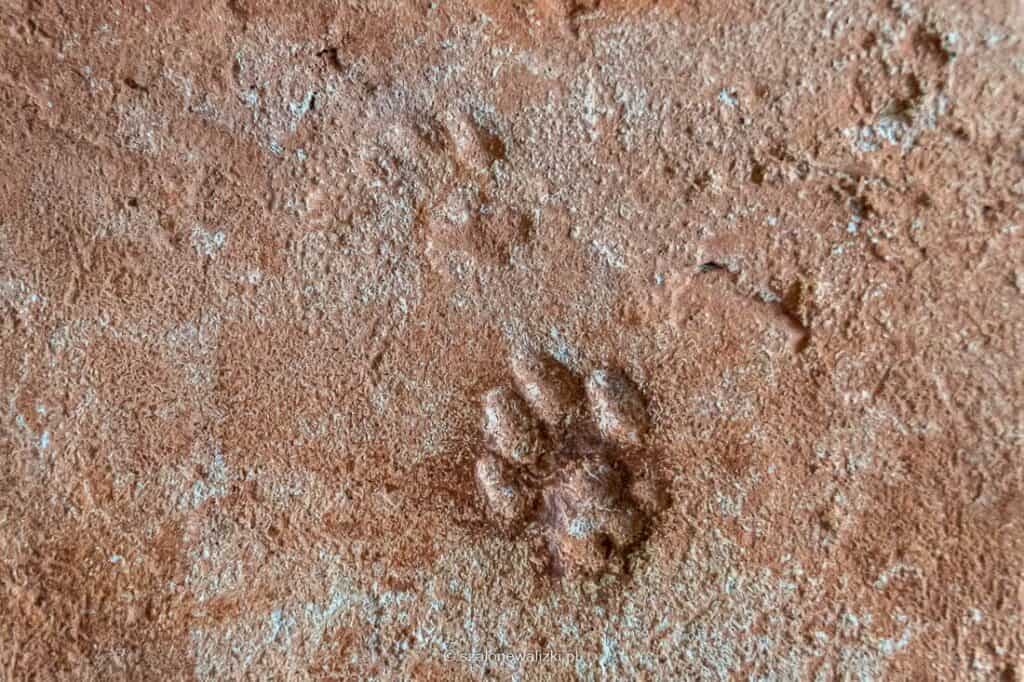 zamki gotyckie na Warmii i Mazurach