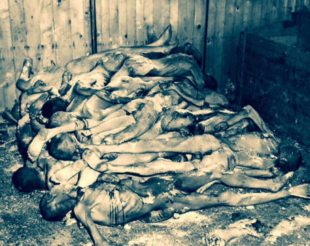 The Road of Bones: Inside the Brutal History of Stalin's Kolyma Highway