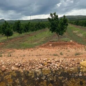 Biodiversity Monitoring Pilot Project