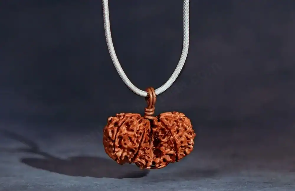 Gauri Shankar Rudraksha