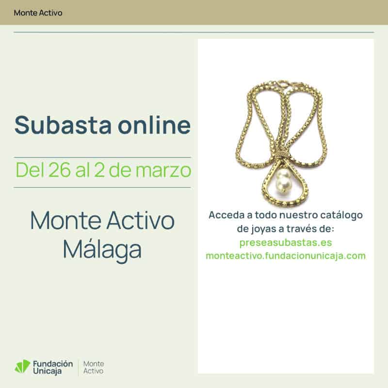 Monte Activo - Subastas febrero 2026 - Málaga