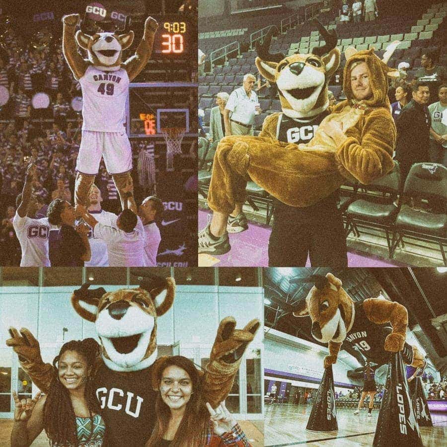 Disfraz mascota grand canyon university Disfraz mascota grand canyon university
