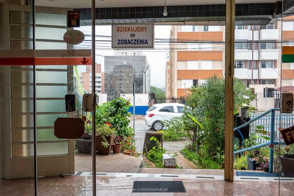 tadeu rei do pierogi