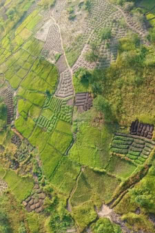 Guinea-Bissau Africa