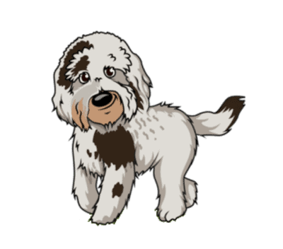 Dog training offered in minneapolis area