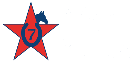 7-Star Horse Therapy