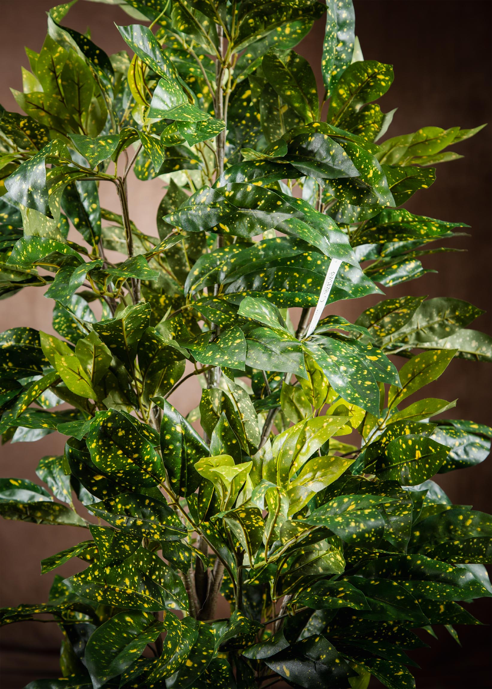 dettaglio-foglie-aucuba-pianta-artificiale