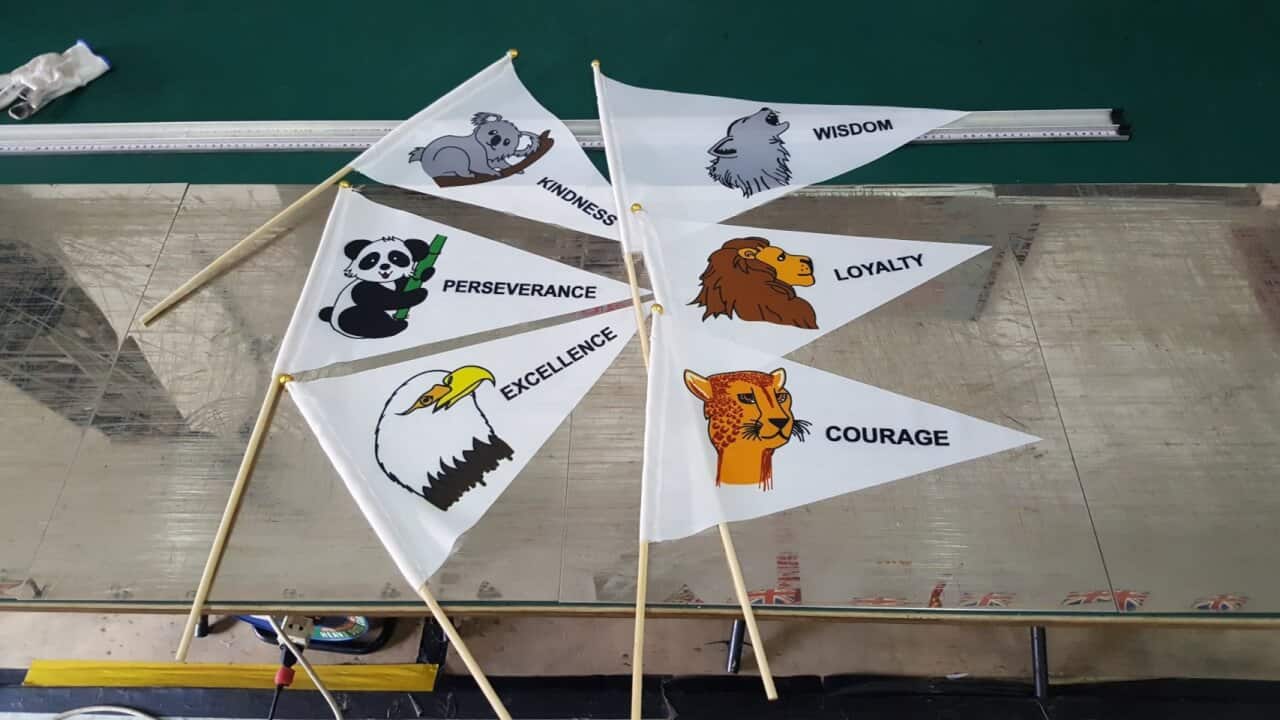 A4 size Scout Flags