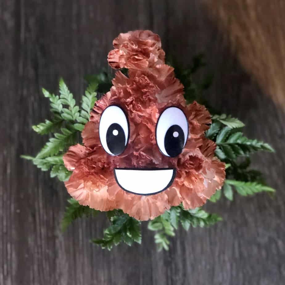 Flower Poo Emoji