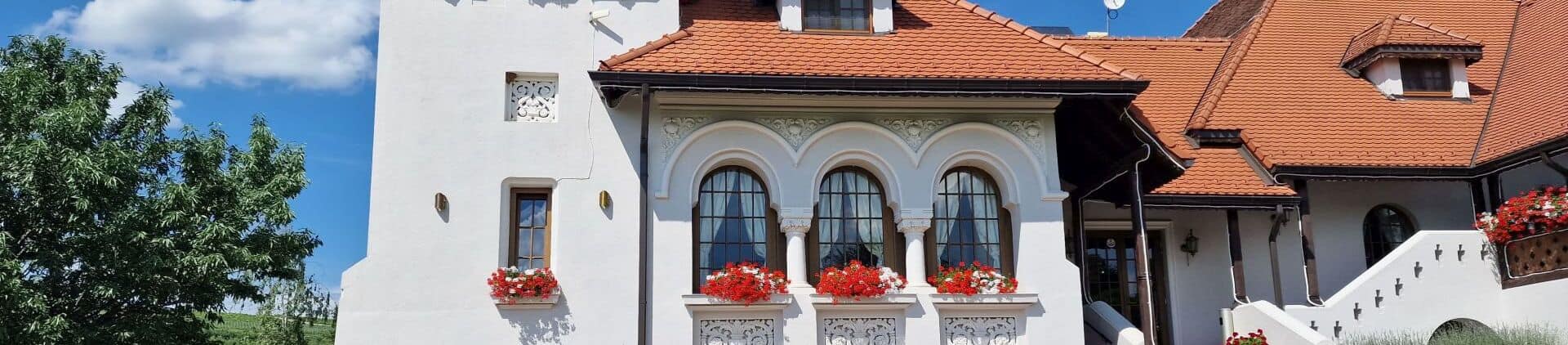 Casa Timiș