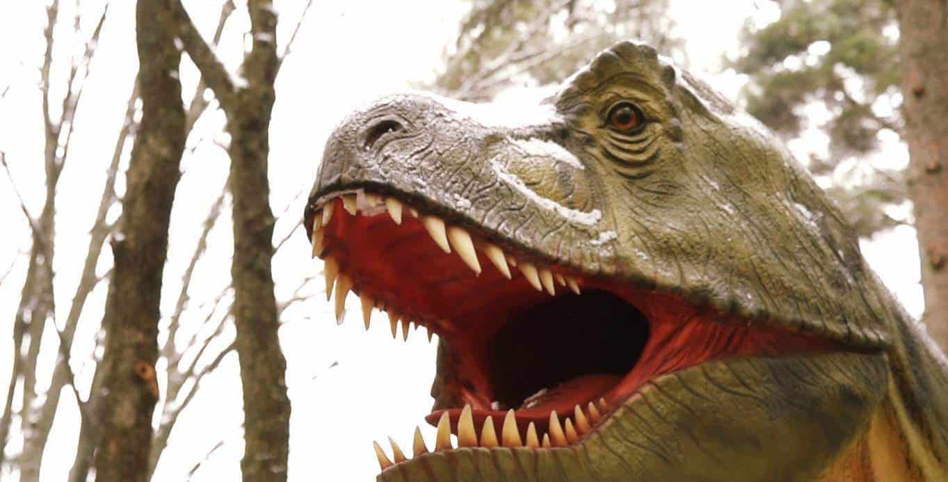 Dino Parc Rasnov Dino-Parc-Rasnov-dinozauri-marime-naturala-4