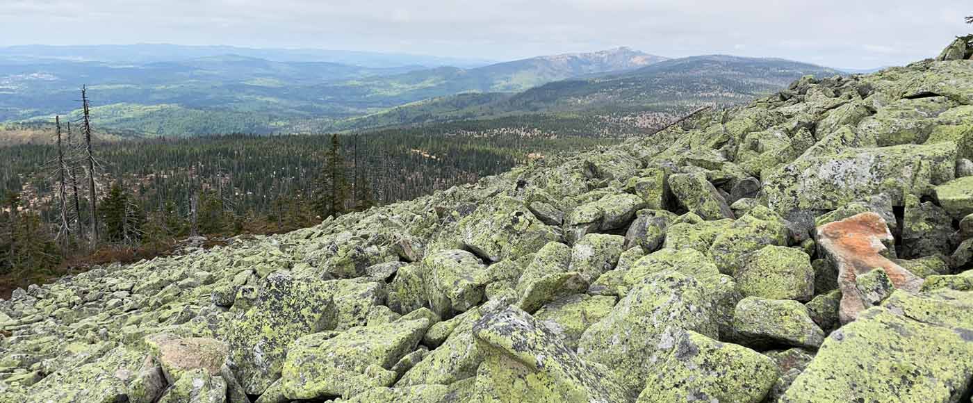 Alle Infos zur Wanderung auf den Lusen im Bayerischen Wald