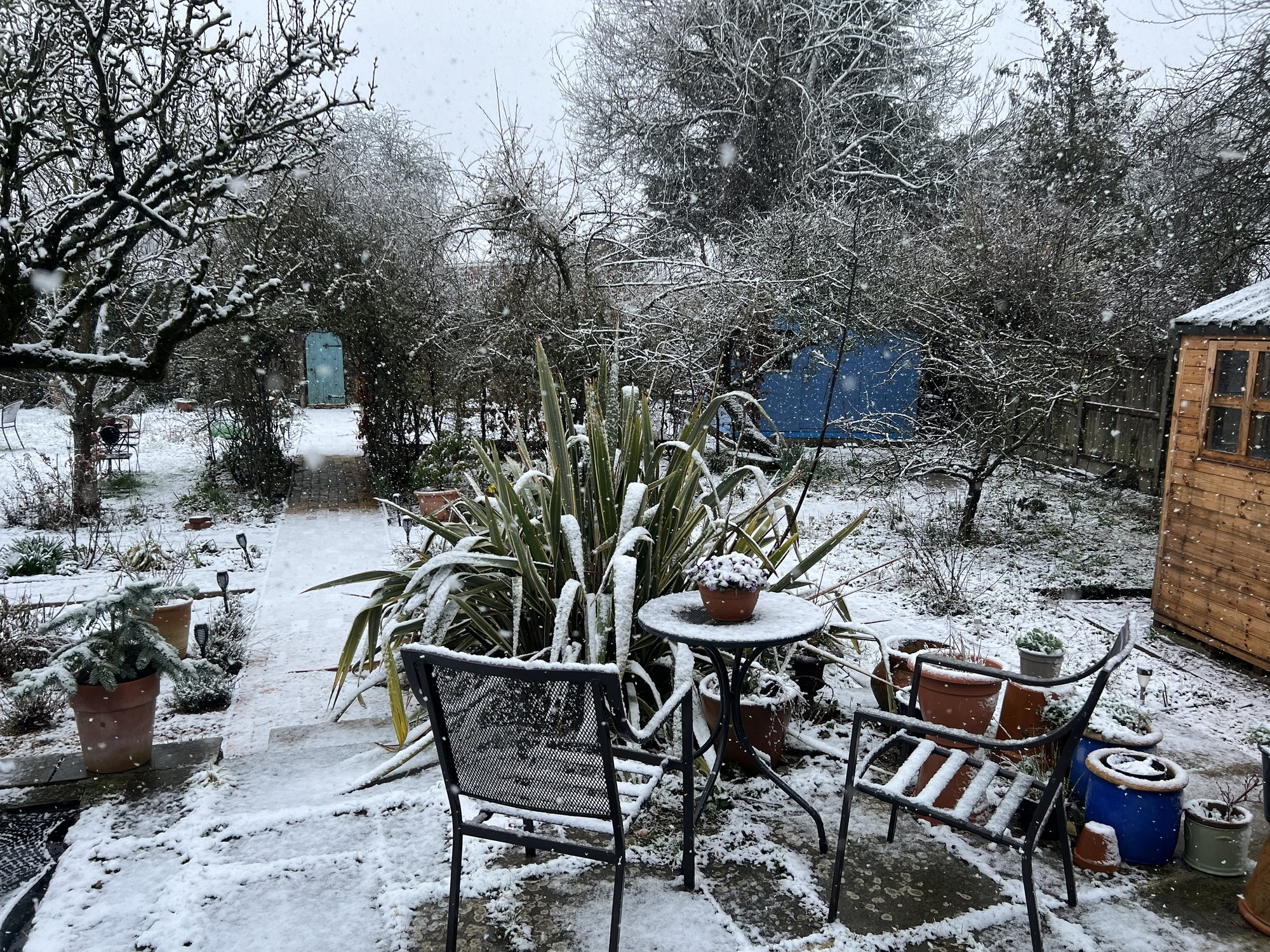 Garten im Winter