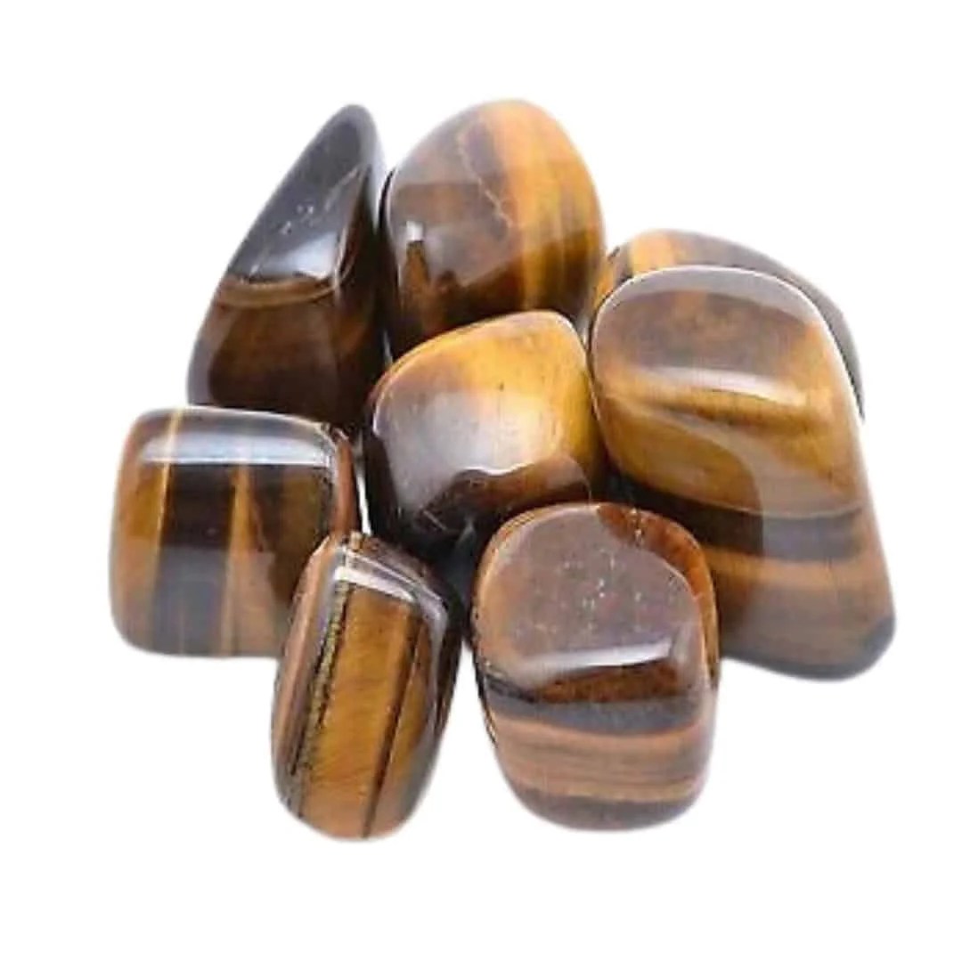 Welcome to Leo Season 8 tigers eye