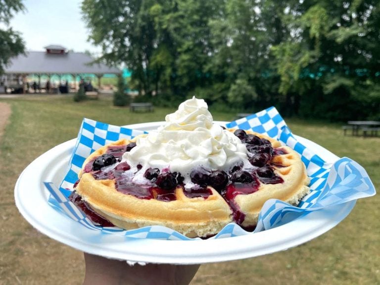 Waffle with blueberris