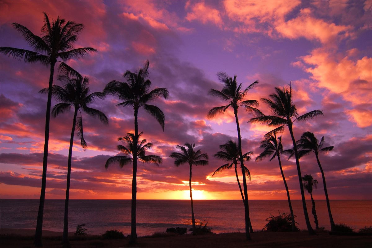 best hawaiian island to visit
