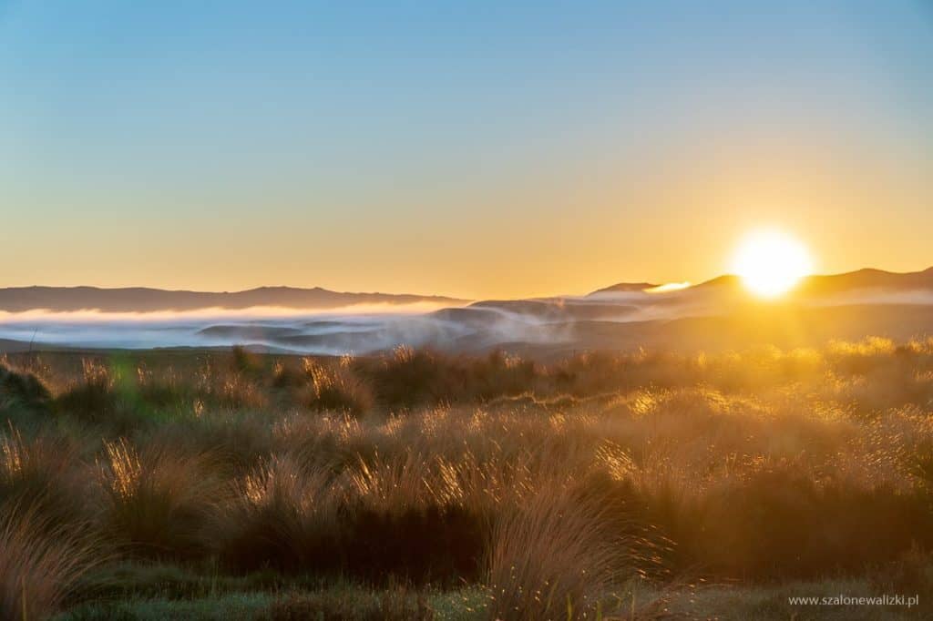 filmowy poradnik Nowa Zelandia