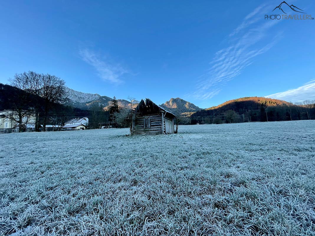 Testfoto iPhone 12 Pro Max Ultraweitwinkellinse