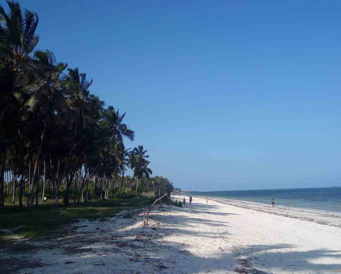 The Kenyan Coast