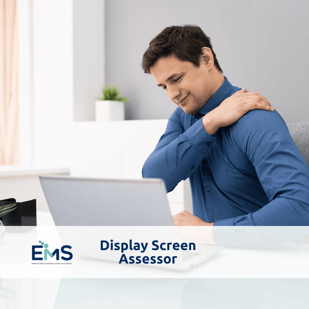 Display Screen Assessor Display Screen Assessor